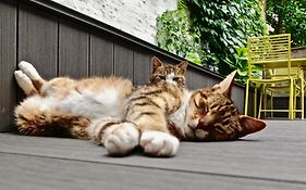 Rock Lobster City Lodge